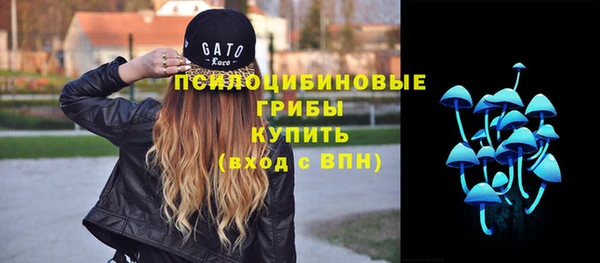 PSILOCYBIN Ладушкин
