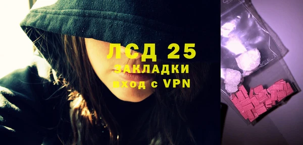PSILOCYBIN Ладушкин
