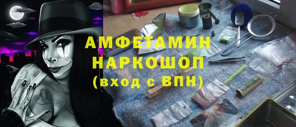 ГАЛЛЮЦИНОГЕННЫЕ ГРИБЫ Лагань