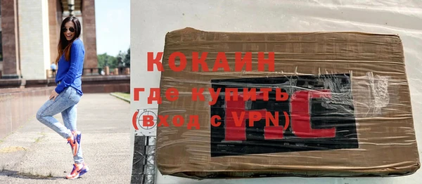 ГАЛЛЮЦИНОГЕННЫЕ ГРИБЫ Лагань