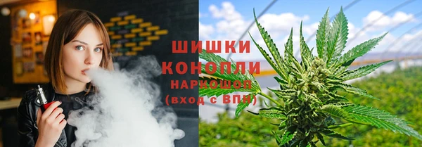 PSILOCYBIN Ладушкин