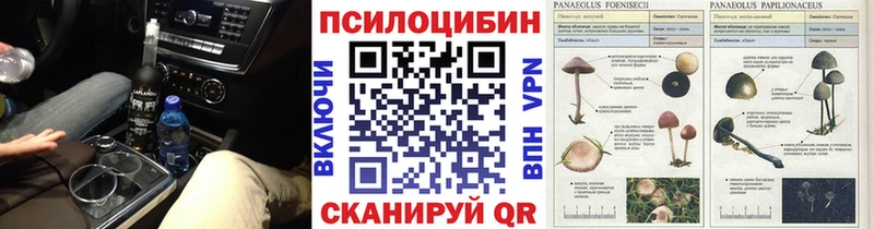 Псилоцибиновые грибы мухоморы Беслан