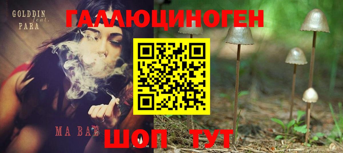 Беслан  Псилоцибиновые грибы Psilocybine cubensis  Вход с VPN  Галлюциногенные грибы Cubensis 